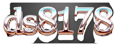 ds8178 logo